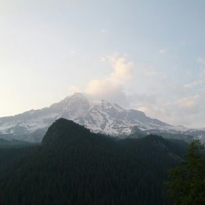 Meet your Posher, Rich